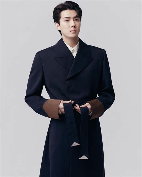 exo sehun dior|EXO’s Sehun Is Already The Main Event At The Upcoming “Dior .